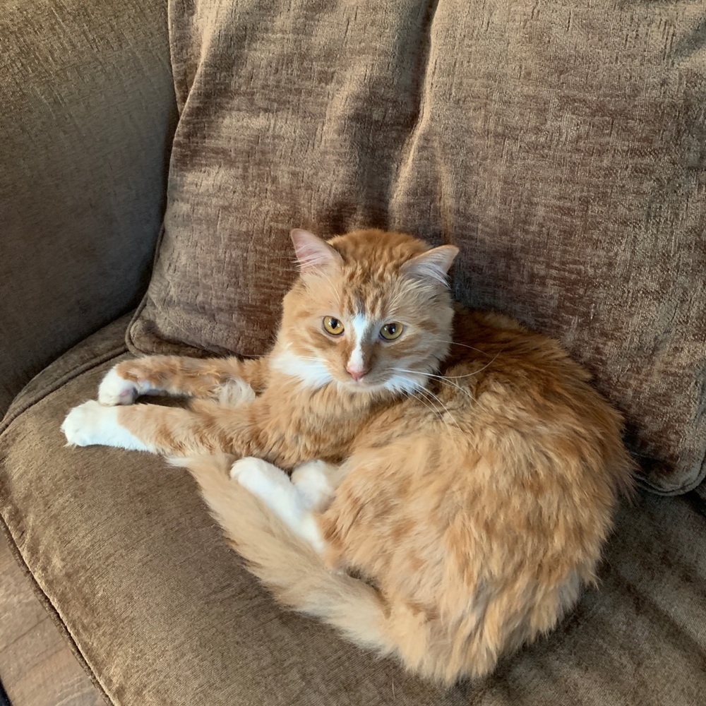 Meet your Posher, Alexandra